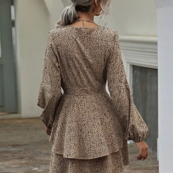 Leopard Print v neck Print Tiered Layered Dress - Picture 5 of 6